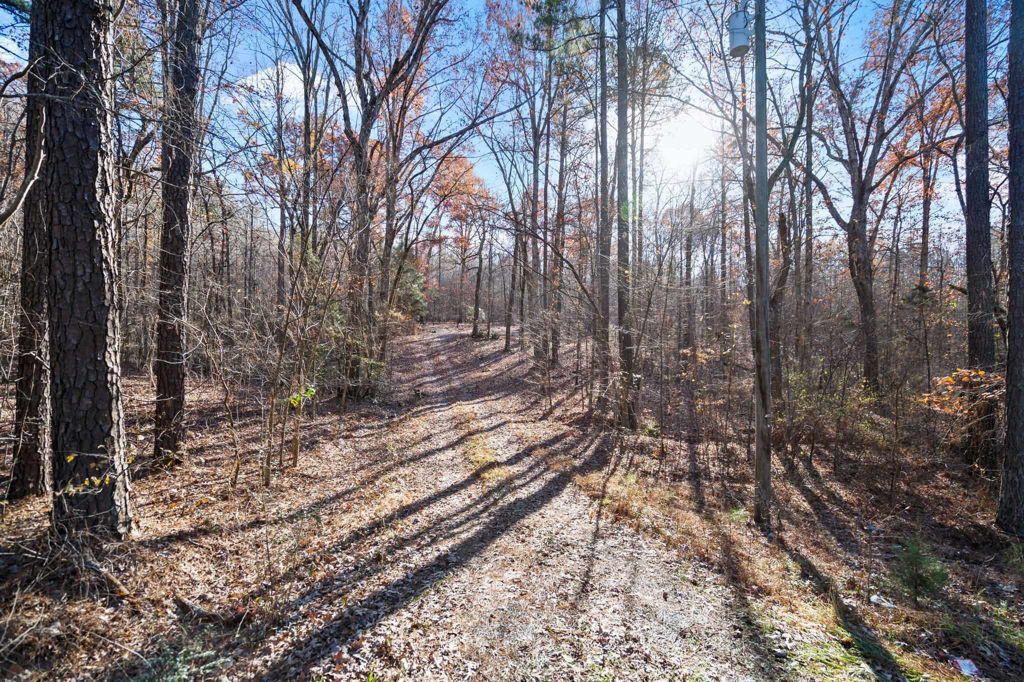 2865 Silk Hope Gum Springs Road Property Photo 3