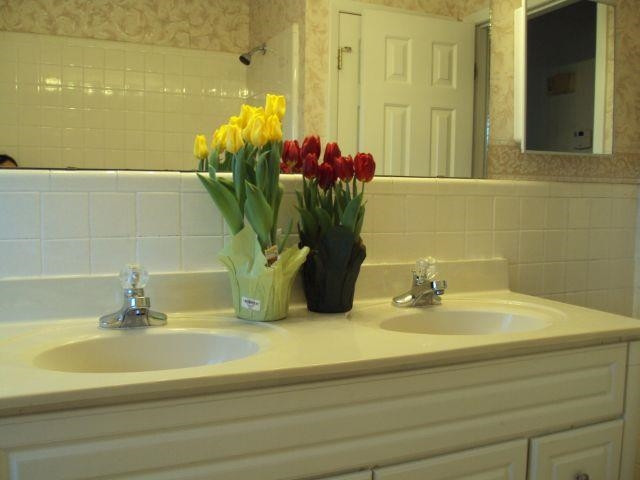 1133 Evans Road Property Photo 7