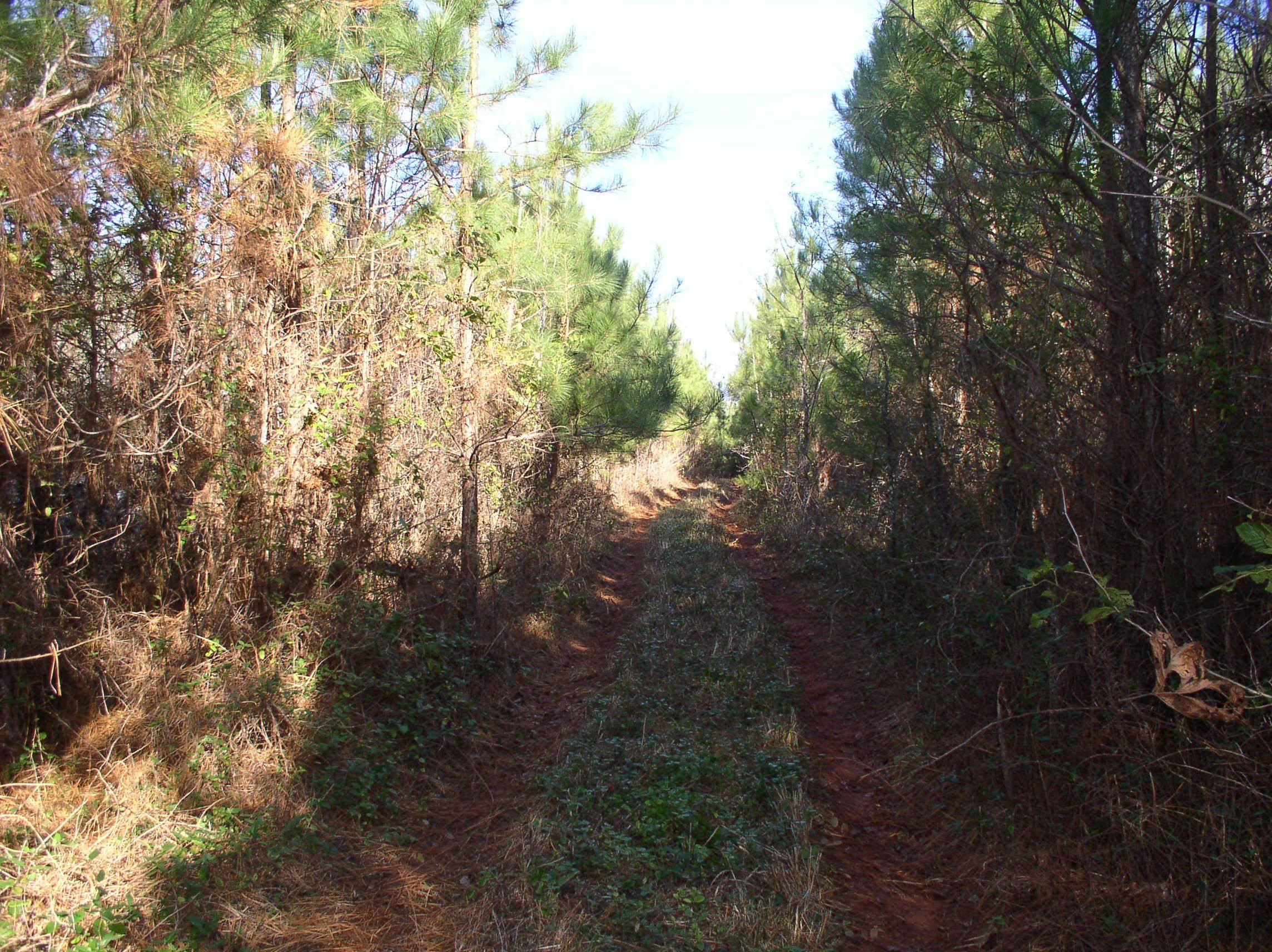 Luna Road Property Photo 3