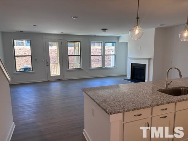 2155 Maggie Way Property Photo 16