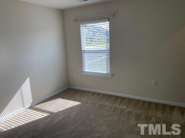 674 Brook Pine Trail Property Photo 16