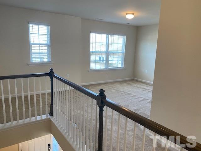 674 Brook Pine Trail Property Photo 19