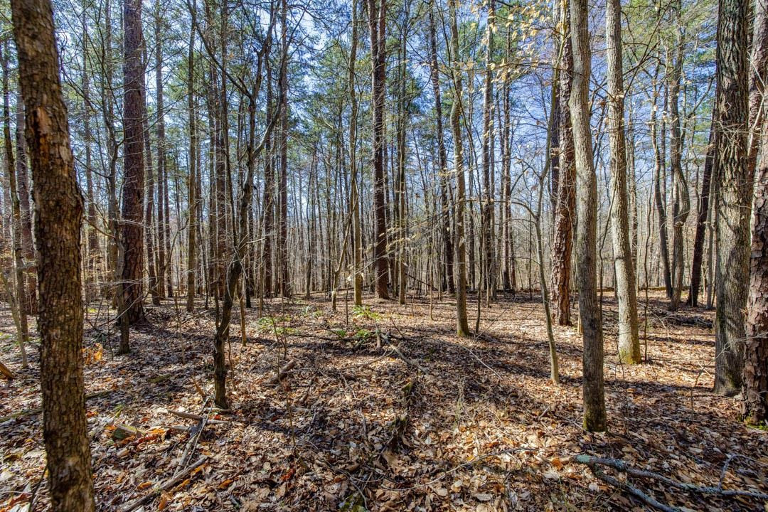 36 Red Bud Lane Property Photo 7