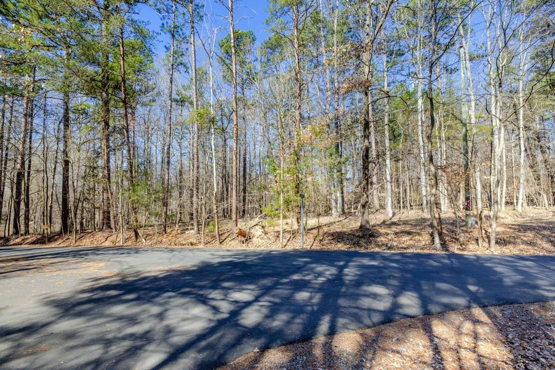 36 Red Bud Lane Property Photo 9