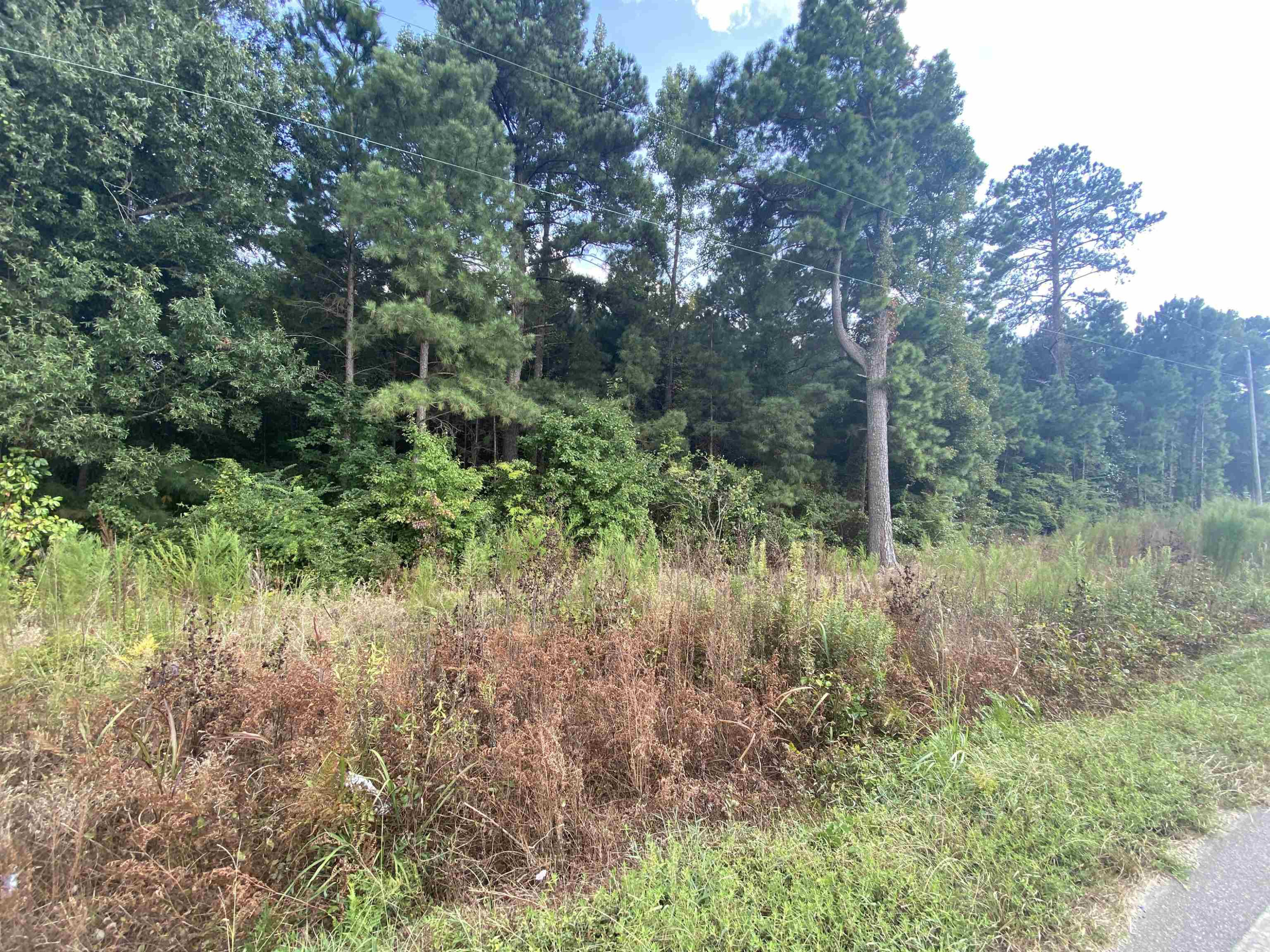 0 Butler Island Road Property Photo 3