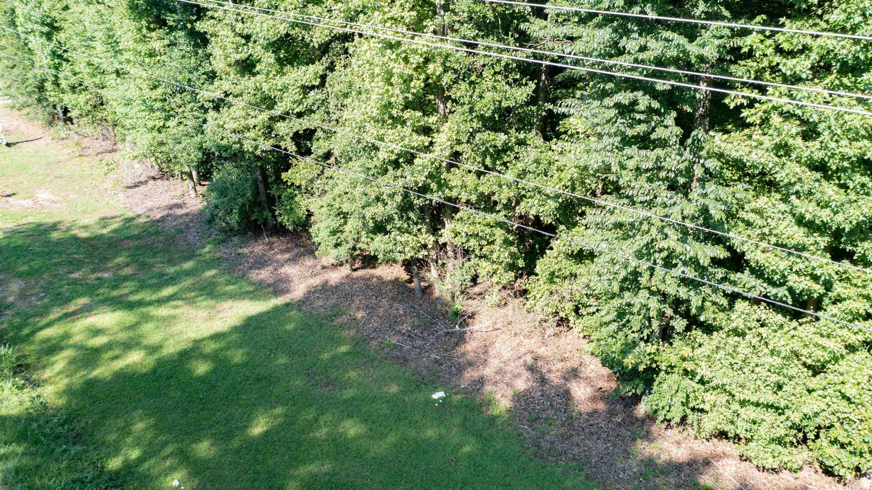 0 Creech Road Property Photo 3