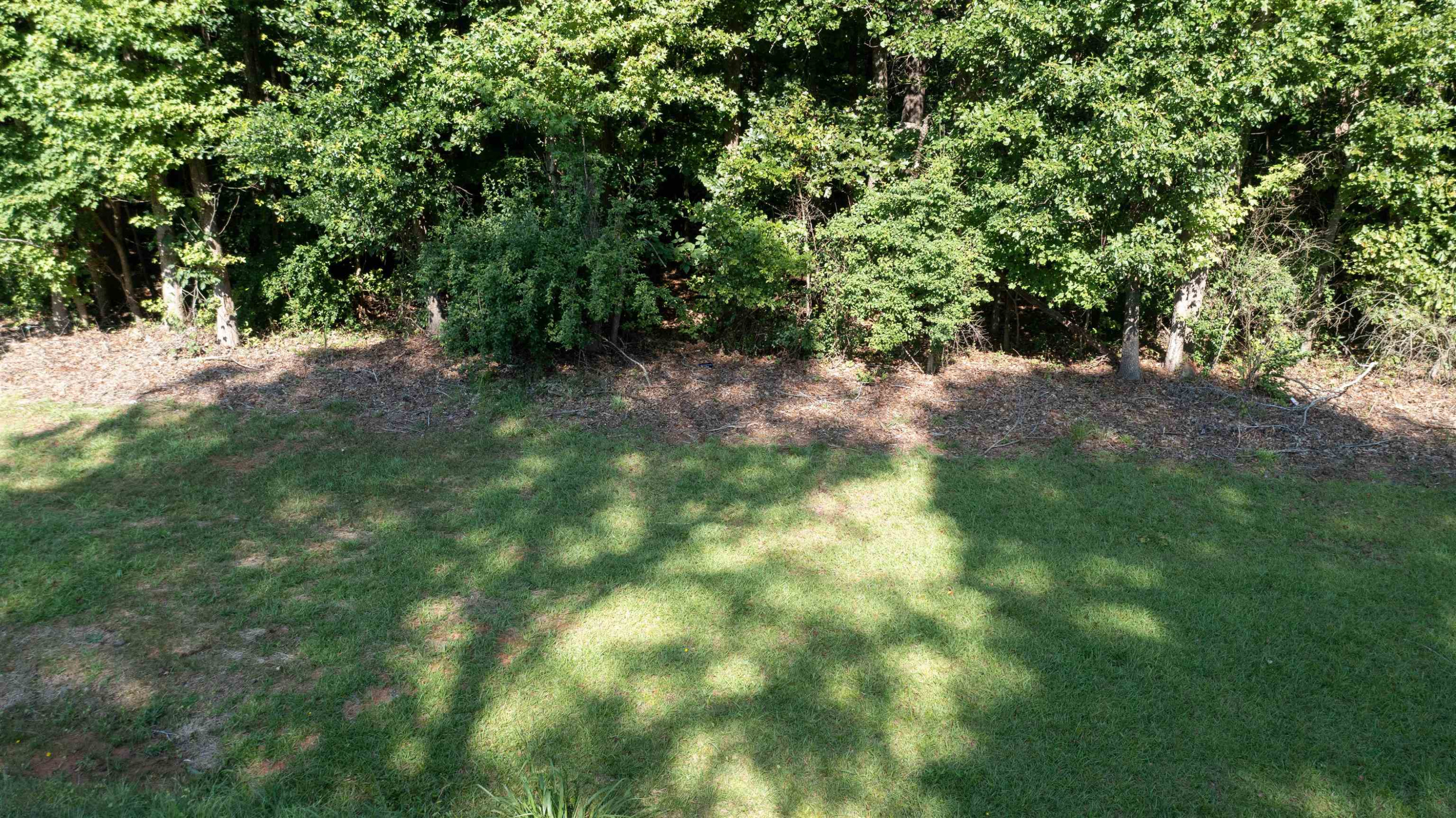 0 Creech Road Property Photo 4