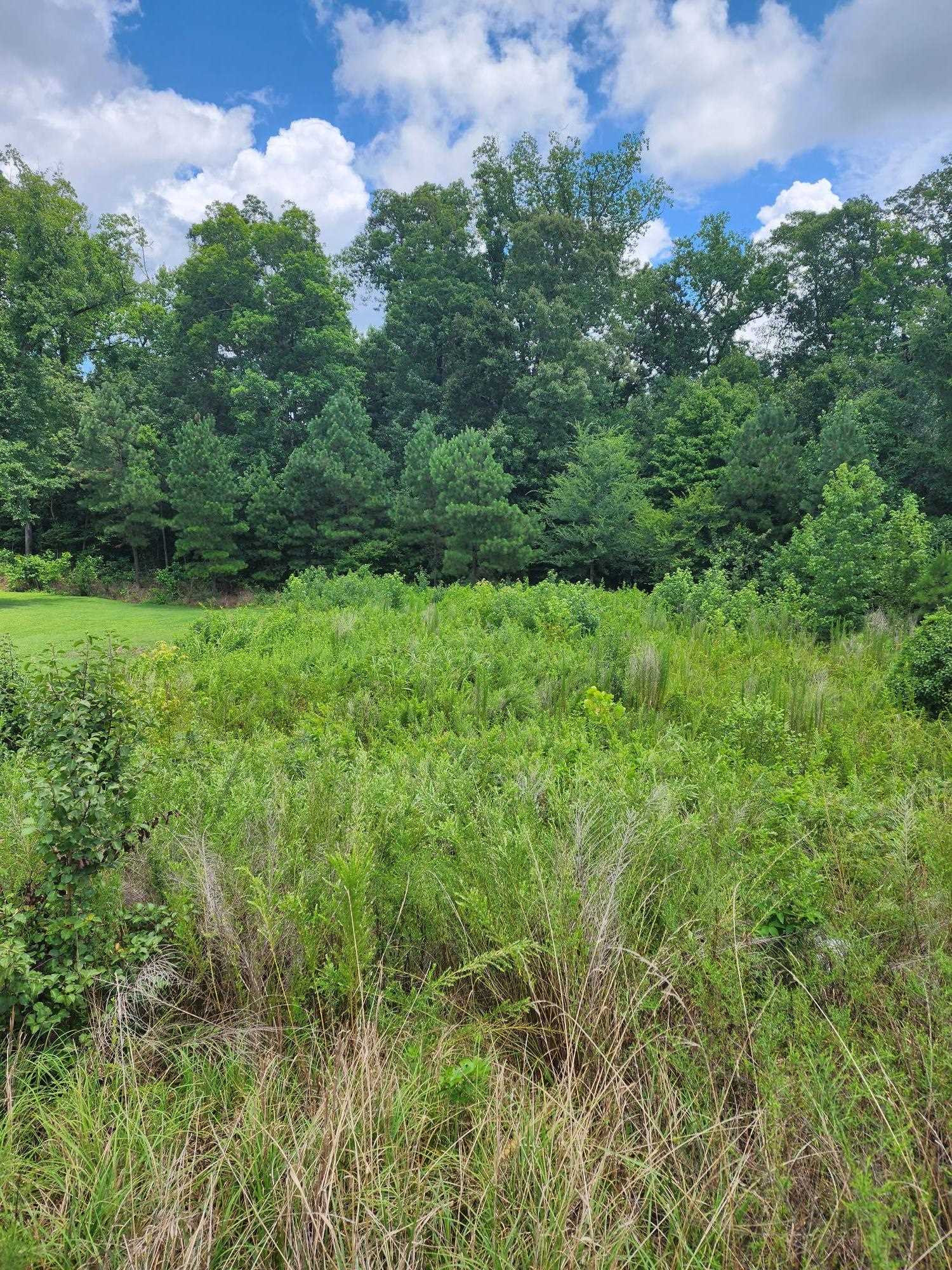 756 Rivers Edge Parkway Property Photo