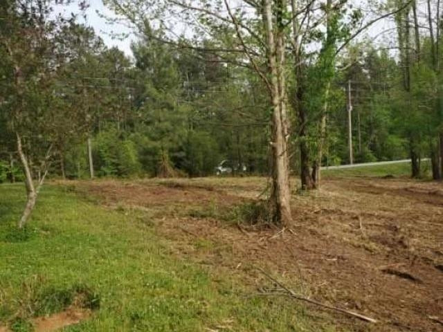 985 John Oakley Road Property Photo
