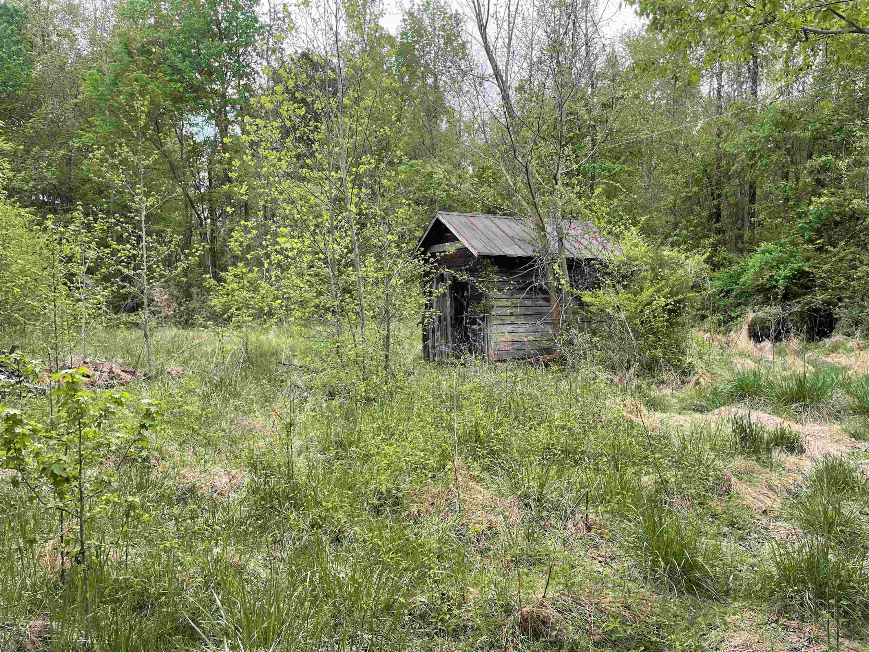 4200 Carr Store Road Property Photo 2
