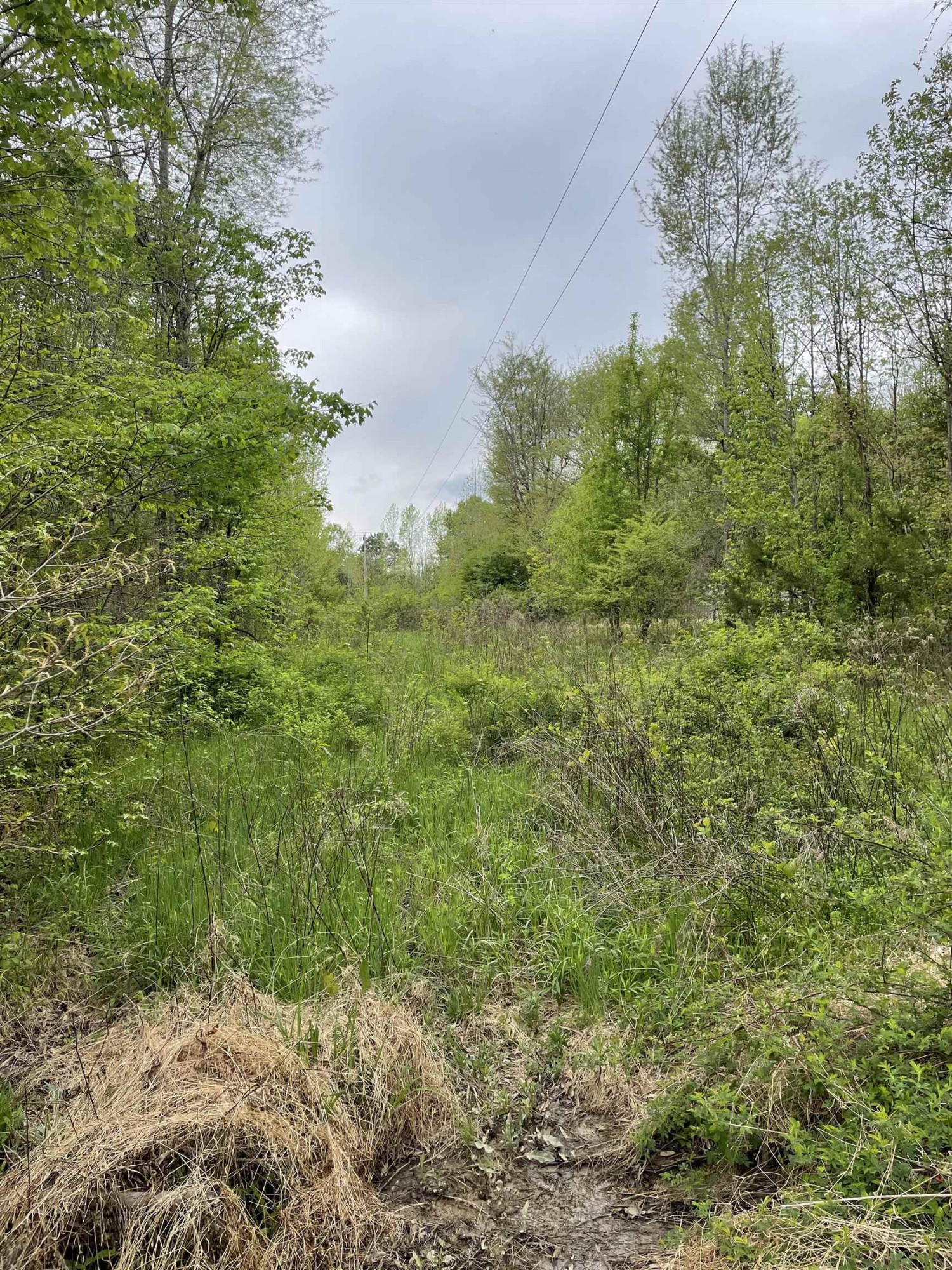 4200 Carr Store Road Property Photo 3