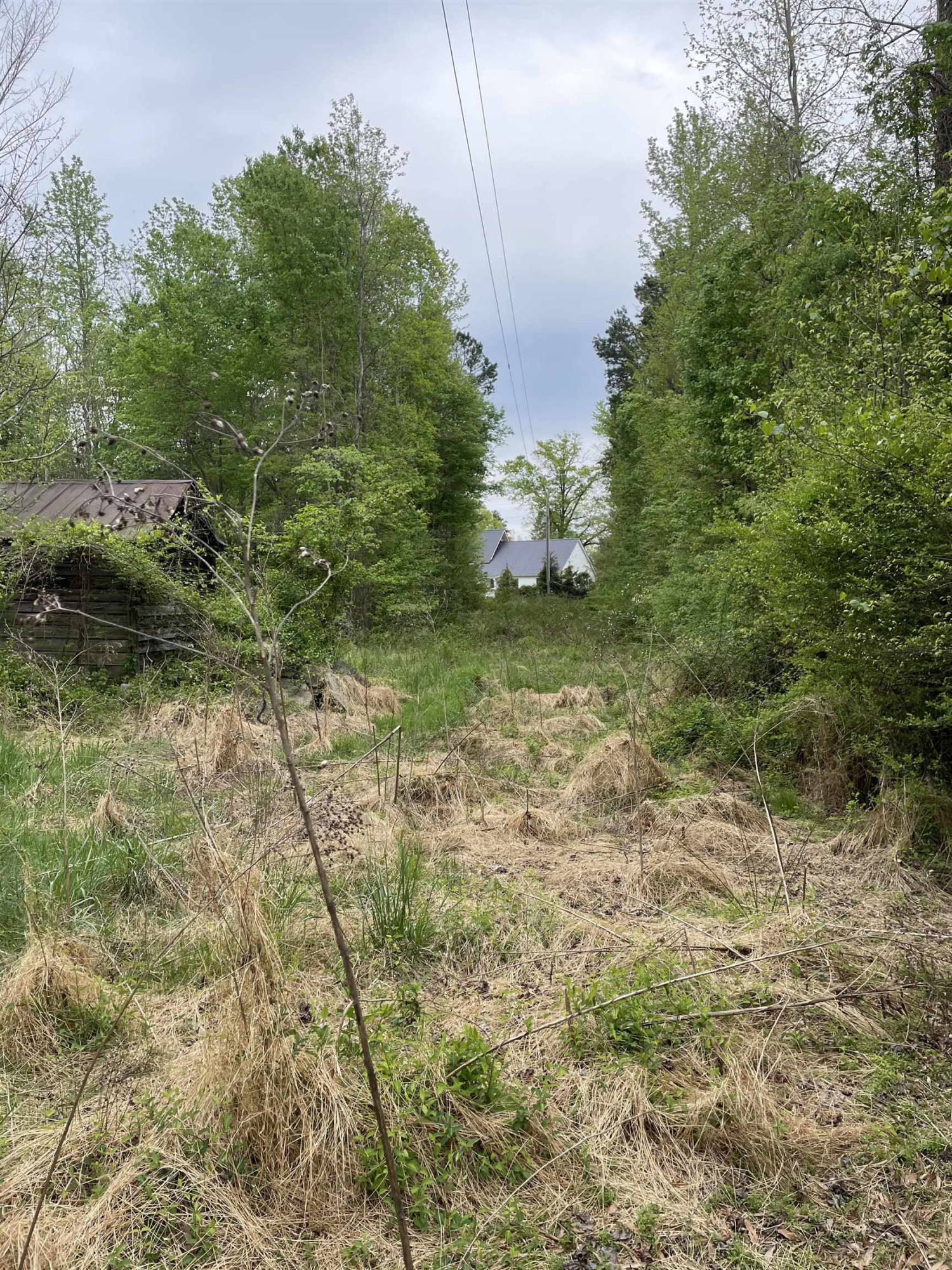 4200 Carr Store Road Property Photo 4