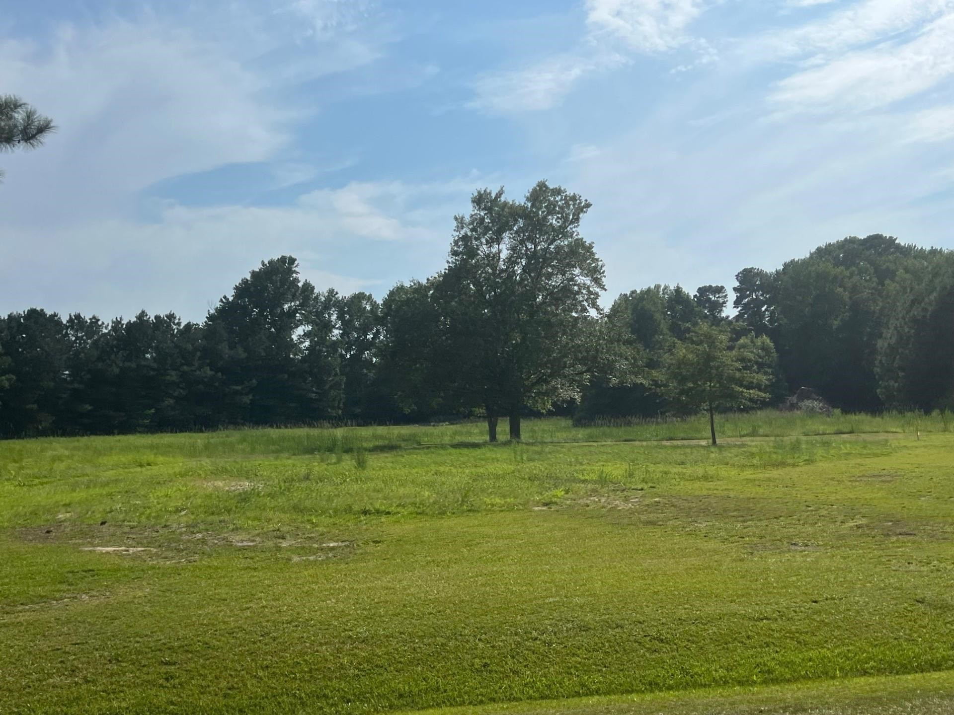 3466 Matthews Mill Pond Road Property Photo 5