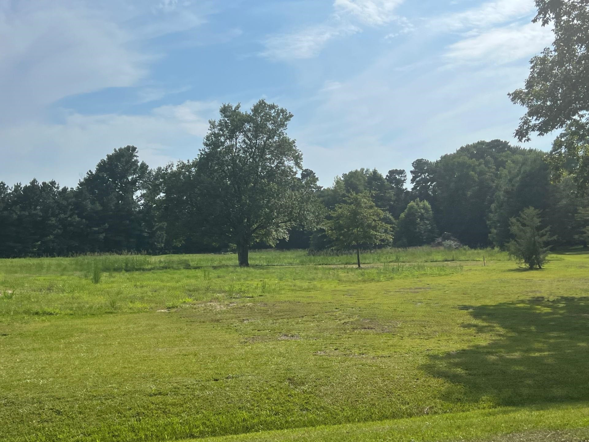 3466 Matthews Mill Pond Road Property Photo 6