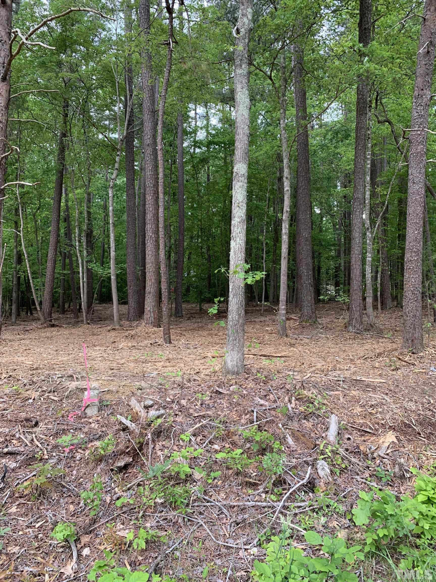 2423 Bivins Road Property Photo 2