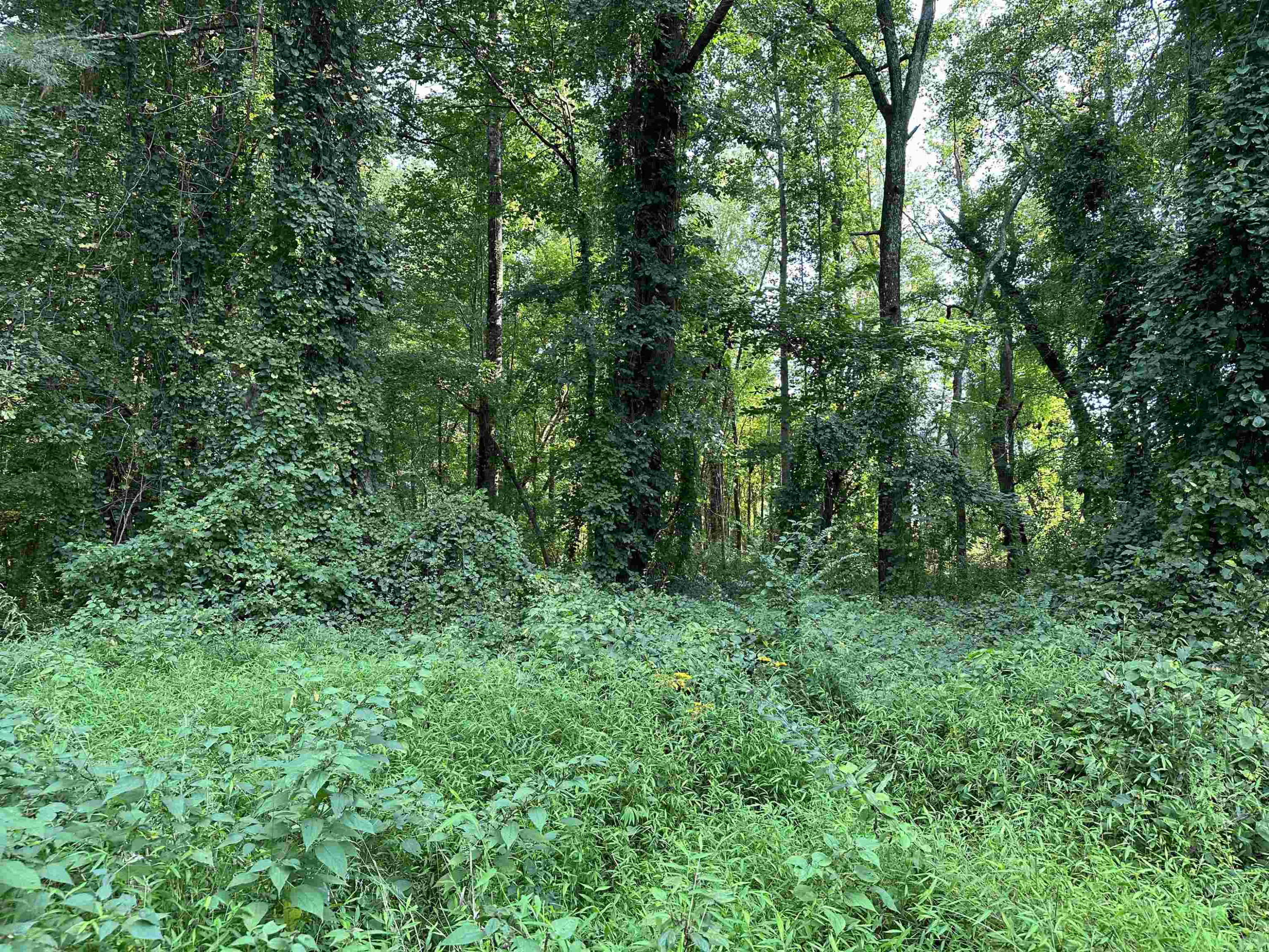 0 E Cardinal Drive Property Photo 1