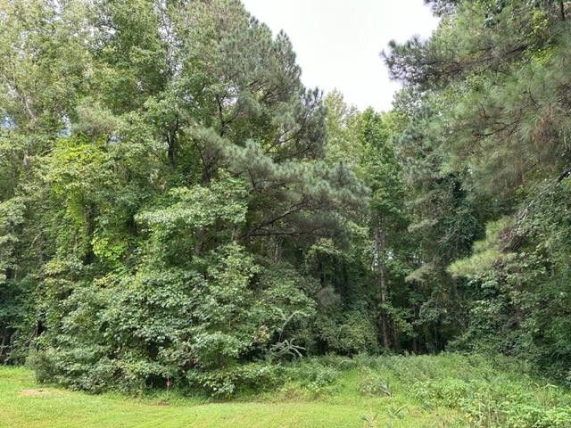 0 E Cardinal Drive Property Photo 2