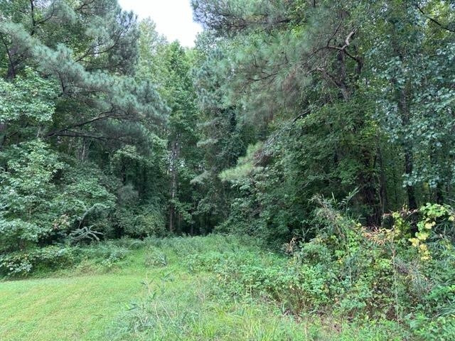 0 E Cardinal Drive Property Photo 3