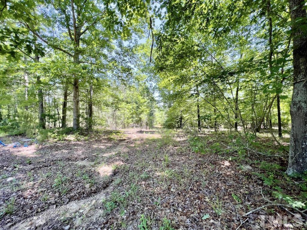 0 Cool Springs Road Property Photo 18