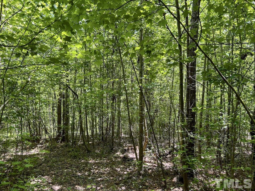 0 Cool Springs Road Property Photo 19