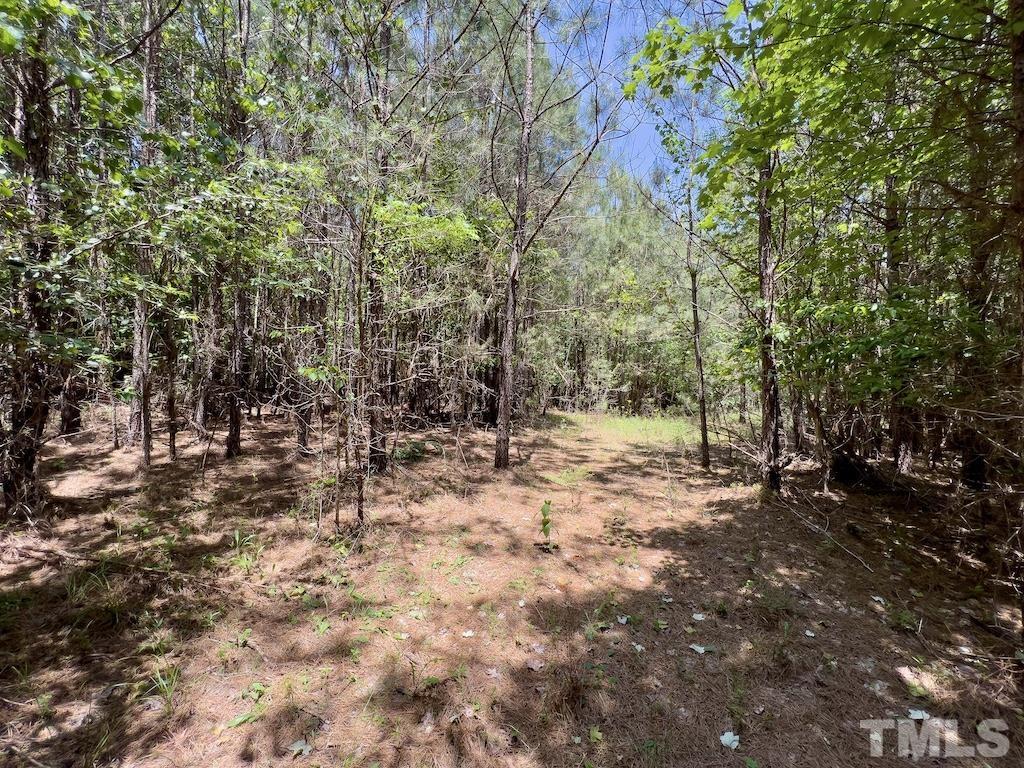 0 Cool Springs Road Property Photo 20
