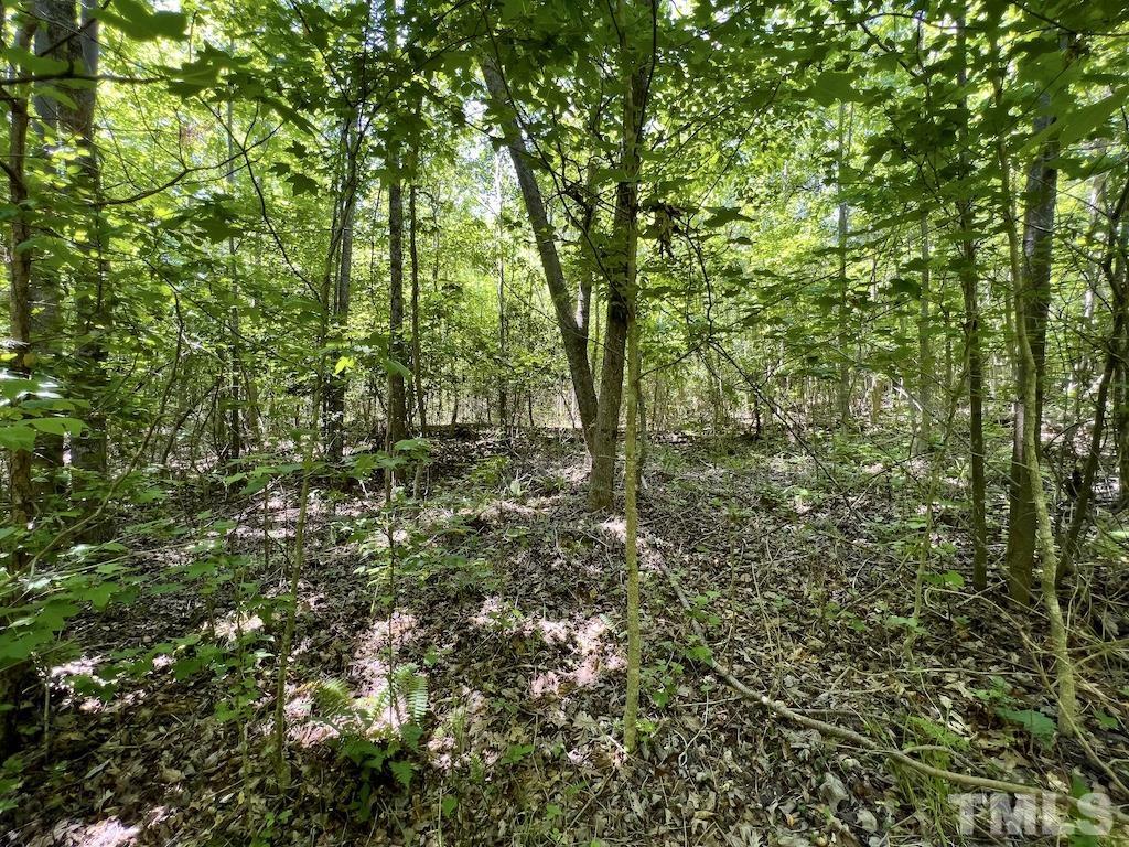 0 Cool Springs Road Property Photo 22