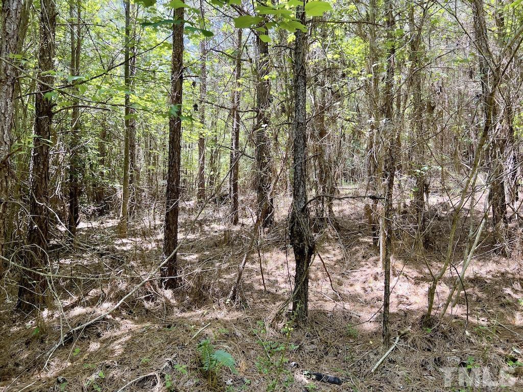 0 Cool Springs Road Property Photo 23