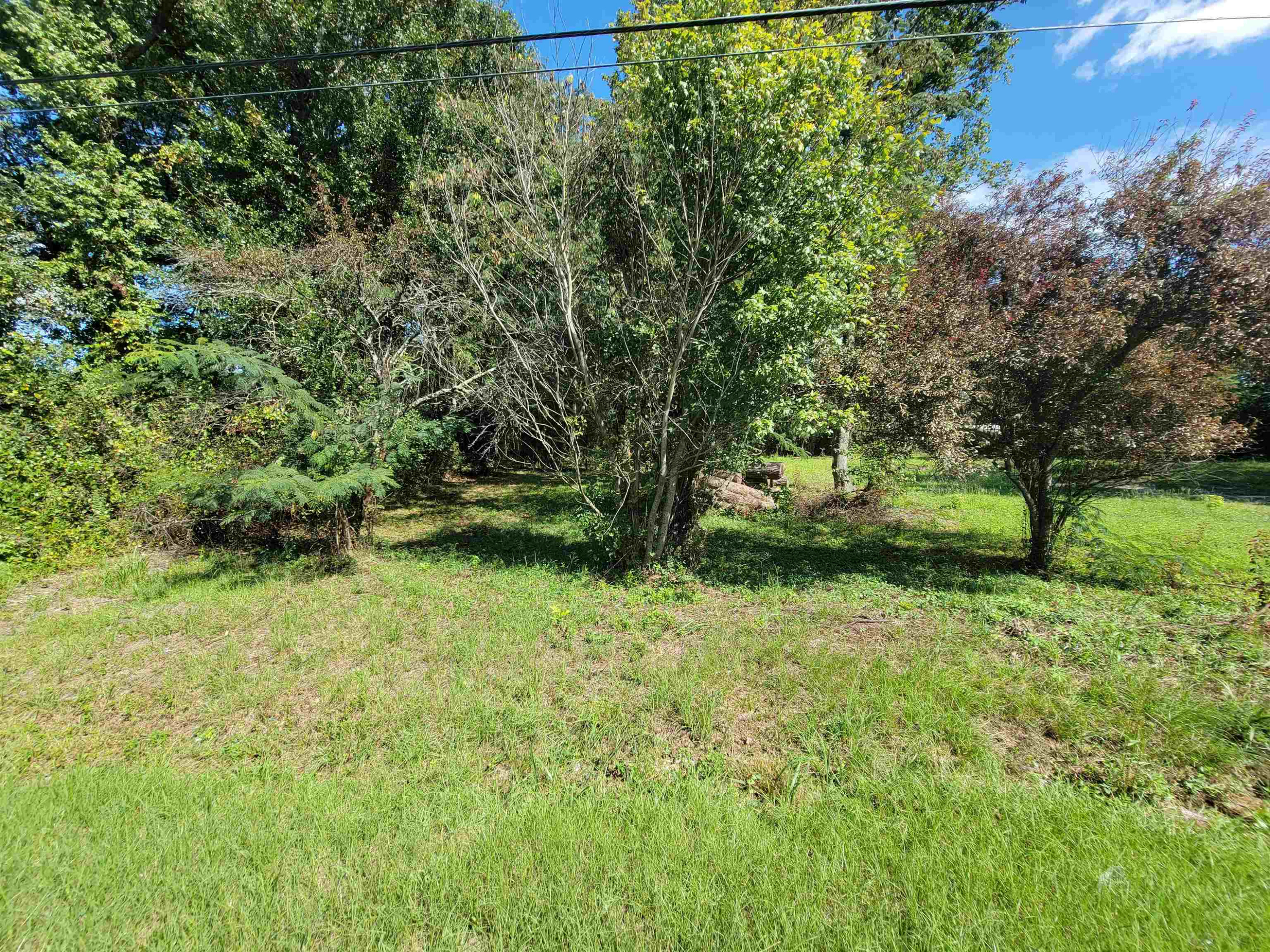 4001 Arlington Street Property Photo 5