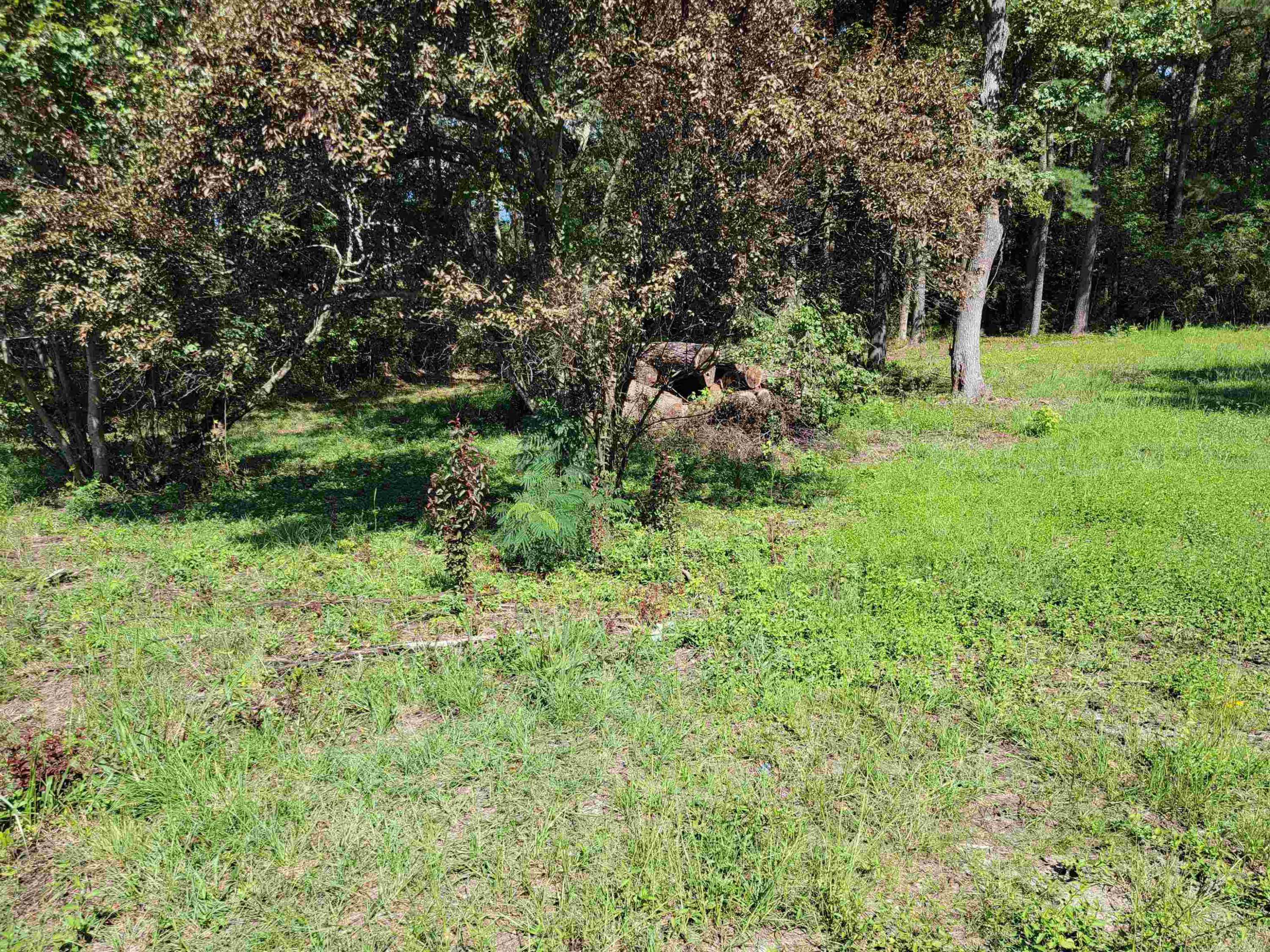 4001 Arlington Street Property Photo 9