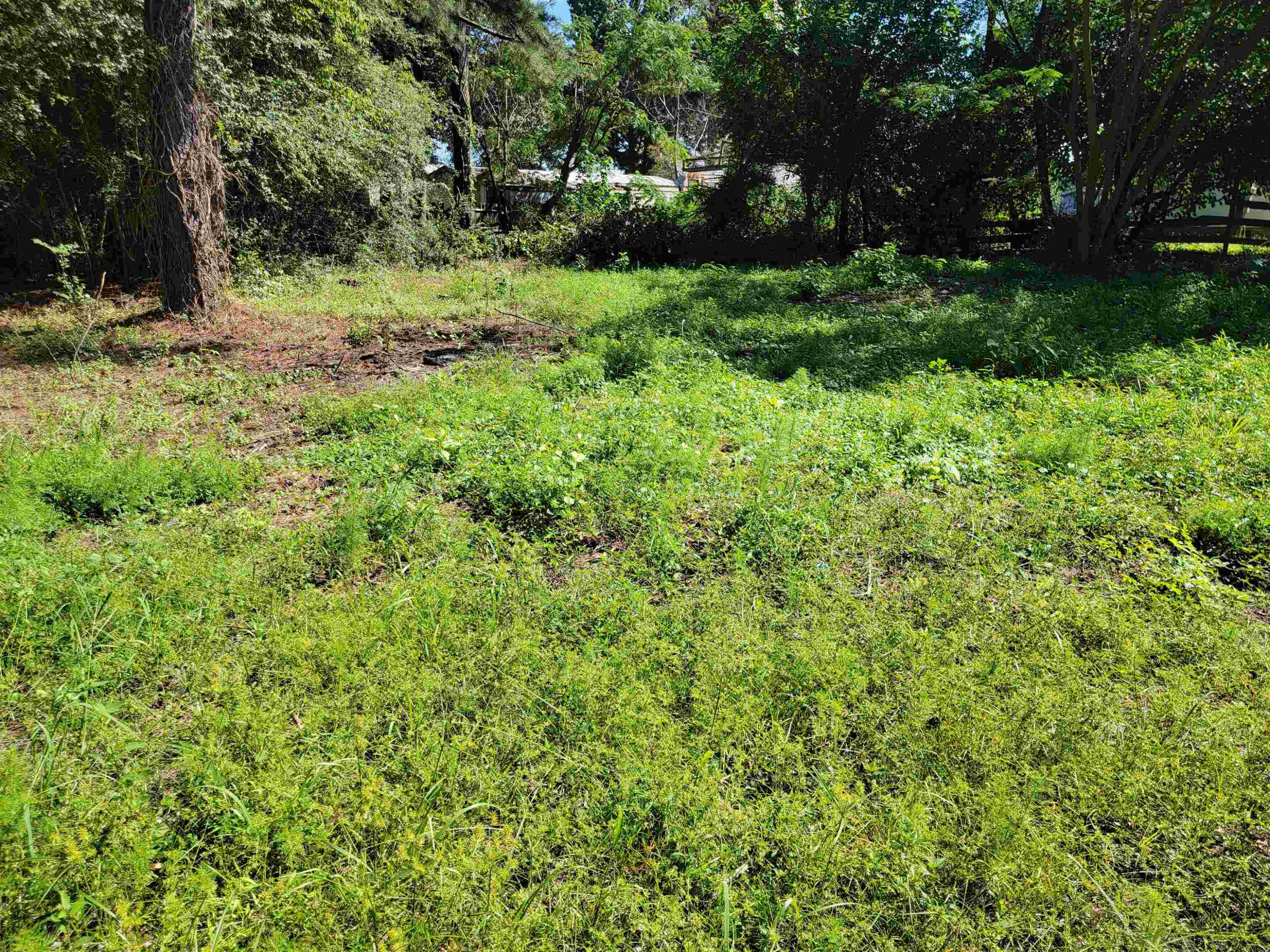 4001 Arlington Street Property Photo 10