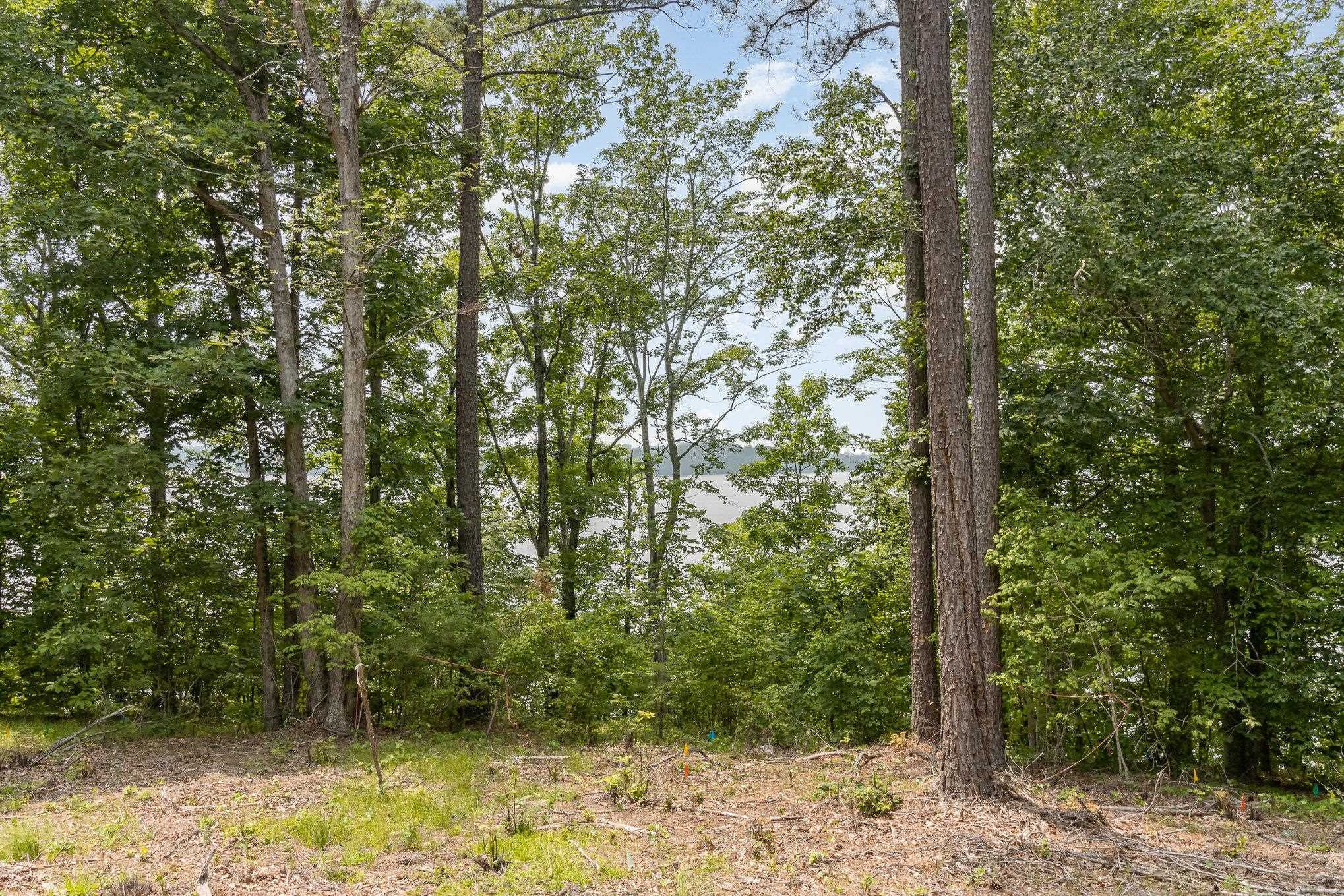12 Bartley Holleman Road Property Photo 6