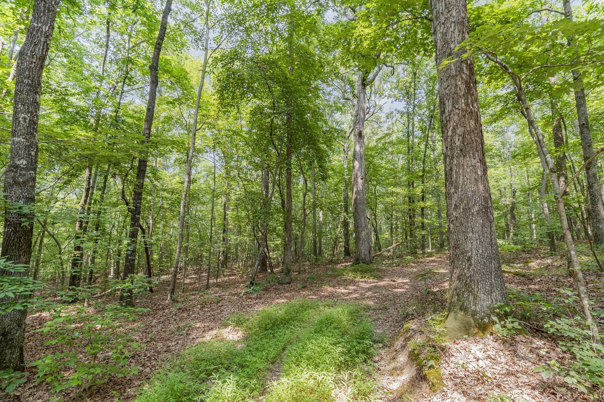 12 Bartley Holleman Road Property Photo 7