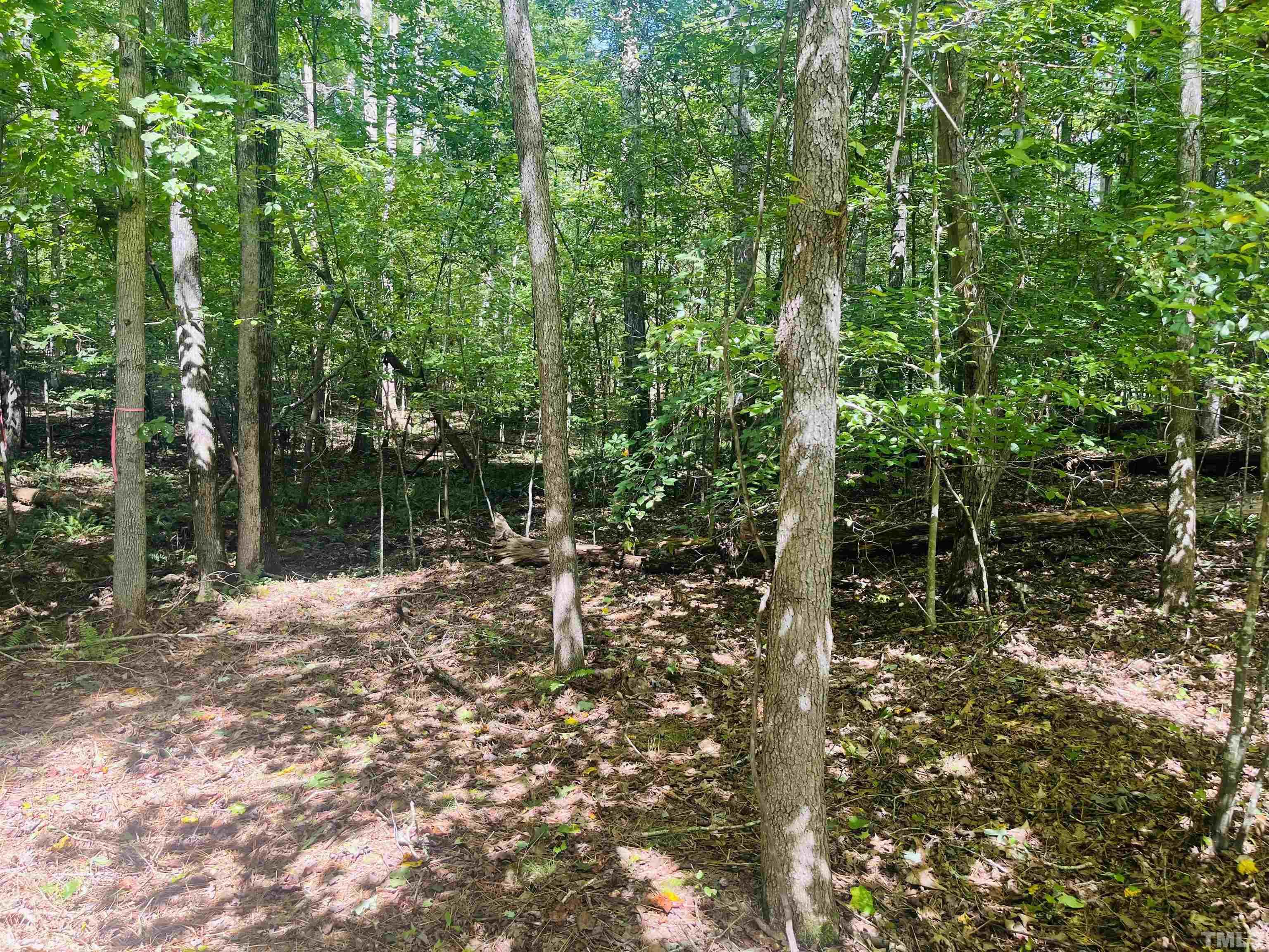 1040 Sunshine Circle Property Photo 3