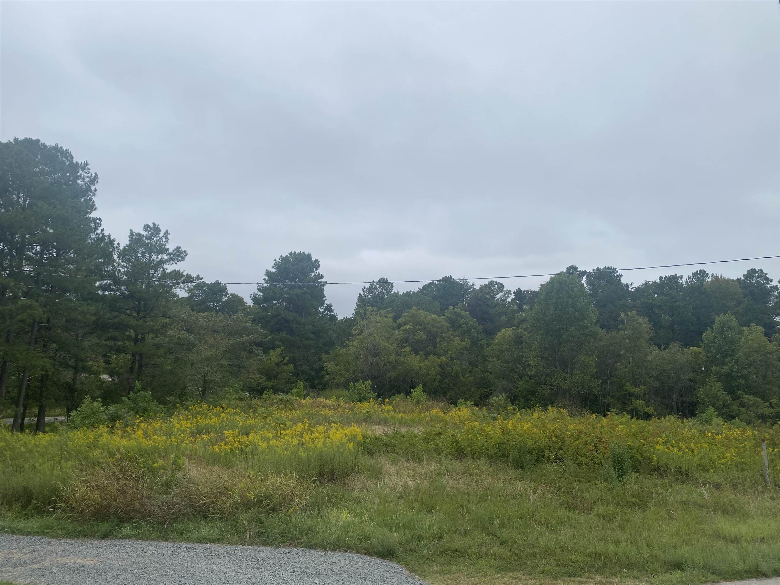 740 Cornelius Street Property Photo 1