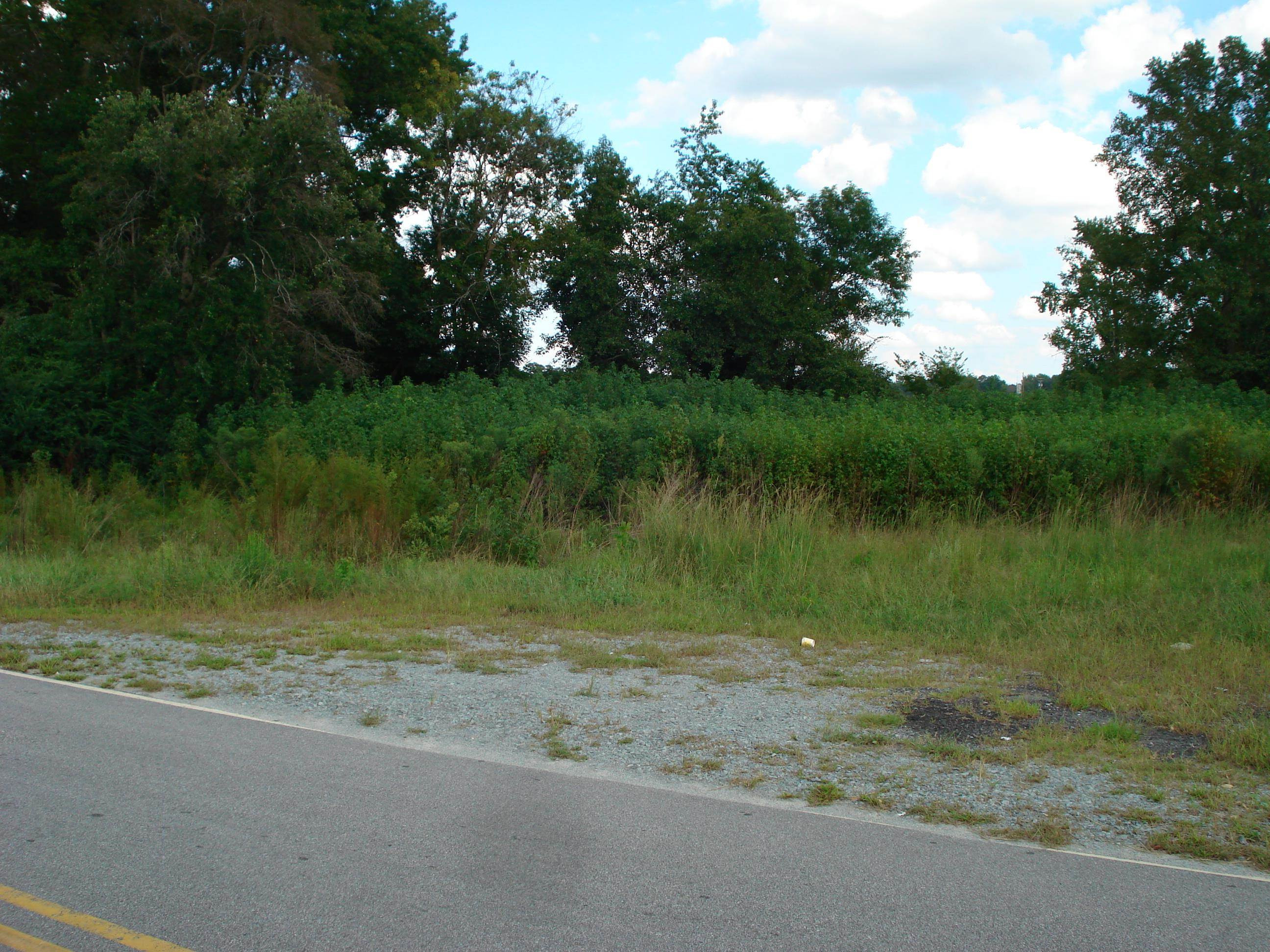 441 Long Branch Road Property Photo 29