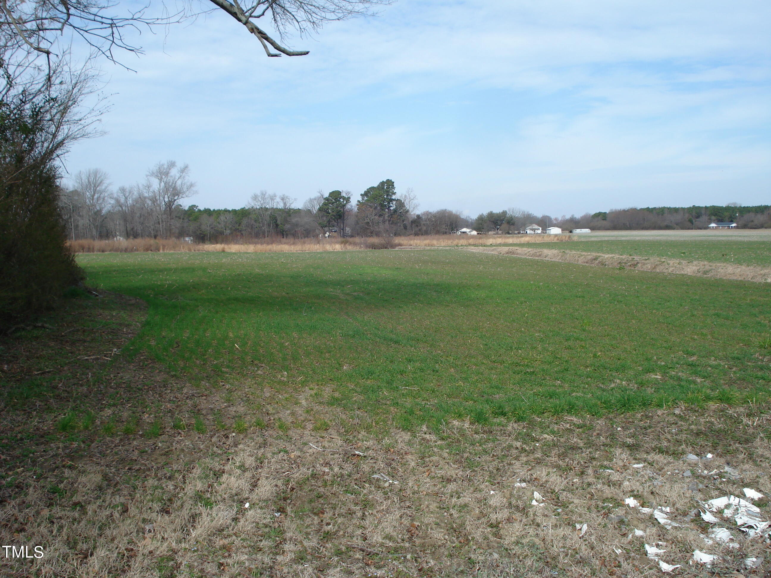 441 Long Branch Road Property Photo 34