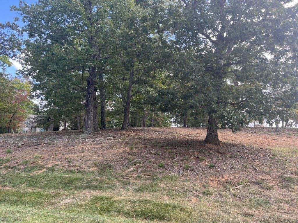 164 Stonebridge Drive Property Photo 3