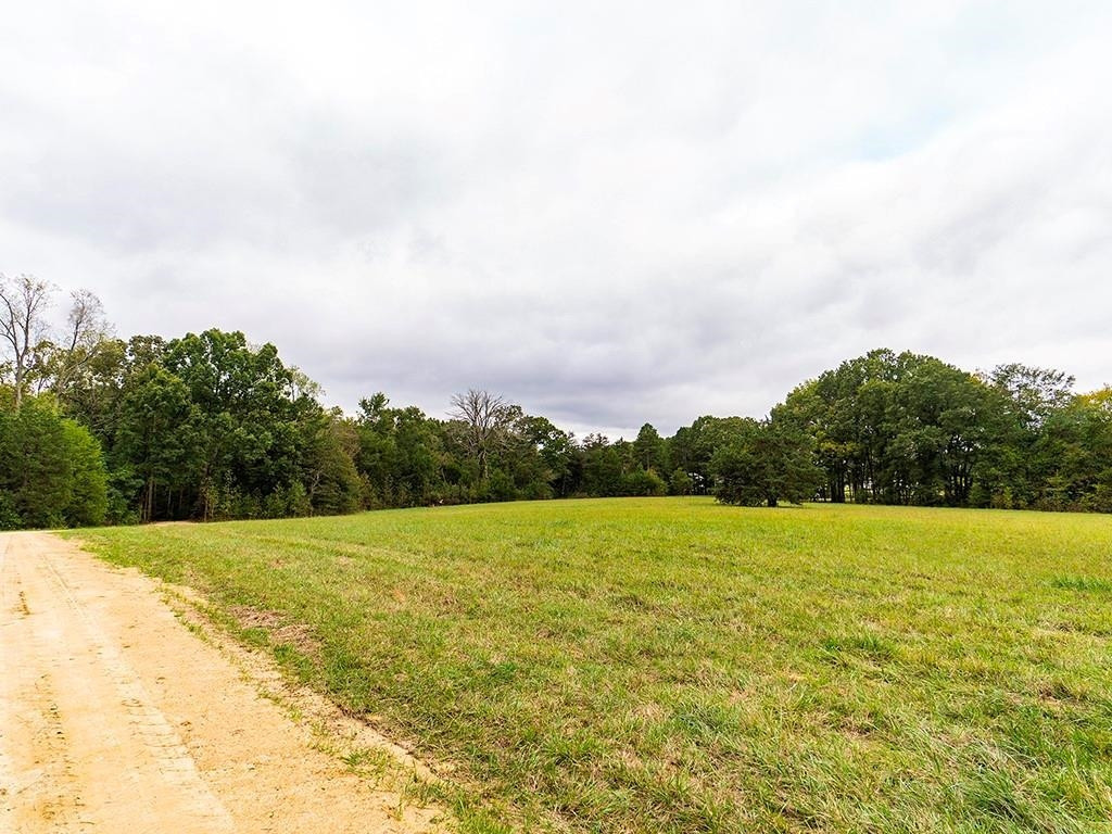 1630 Gerringer Mill Road Property Photo 6