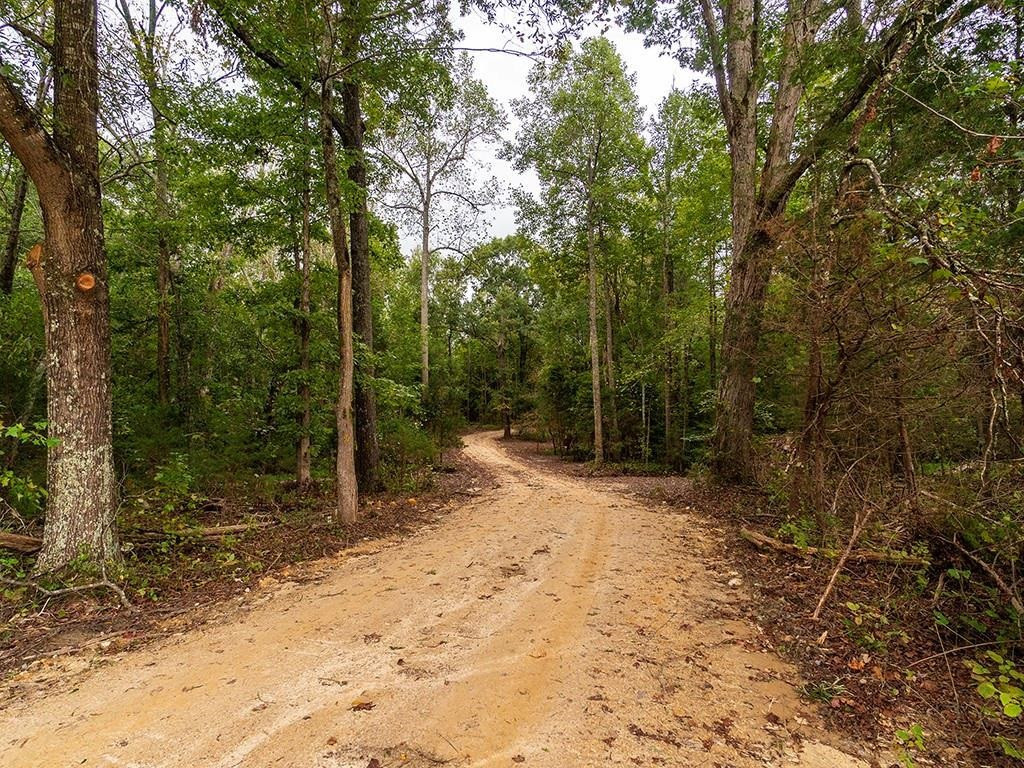 1630 Gerringer Mill Road Property Photo 7