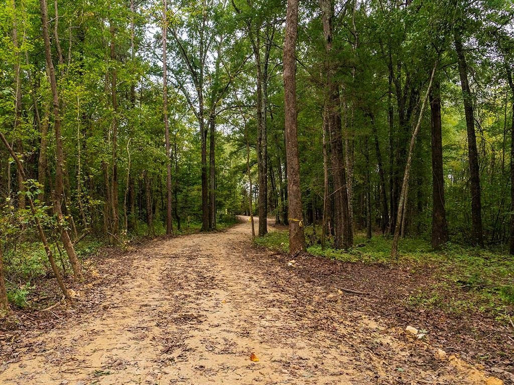 1630 Gerringer Mill Road Property Photo 8