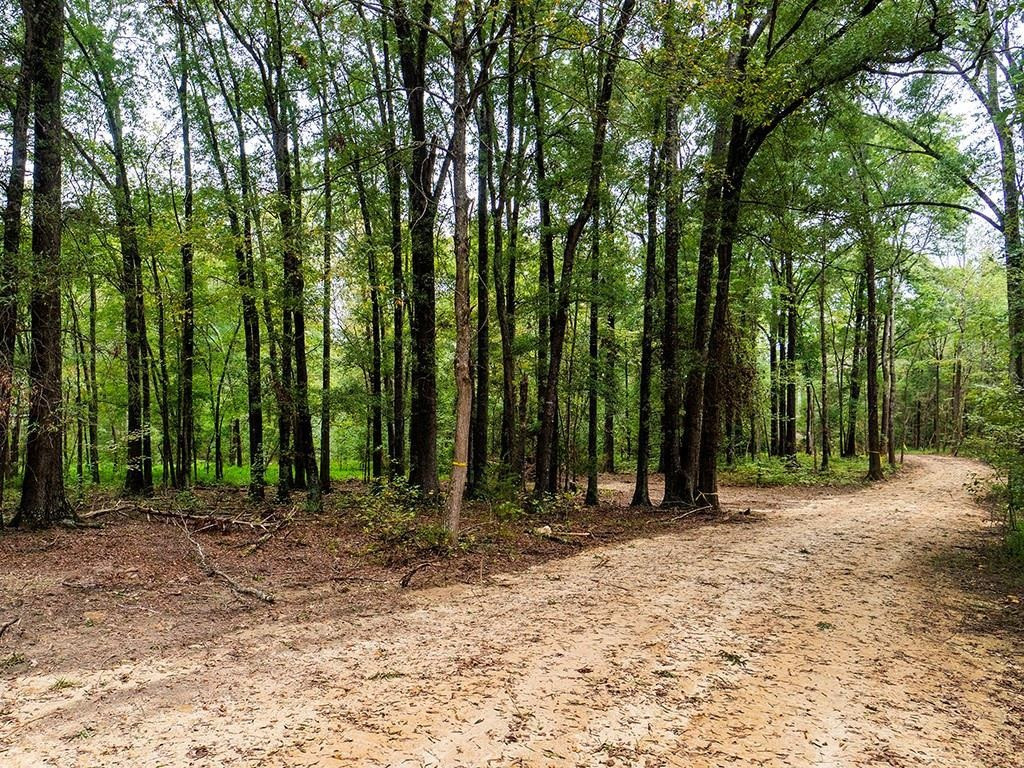 1630 Gerringer Mill Road Property Photo 9