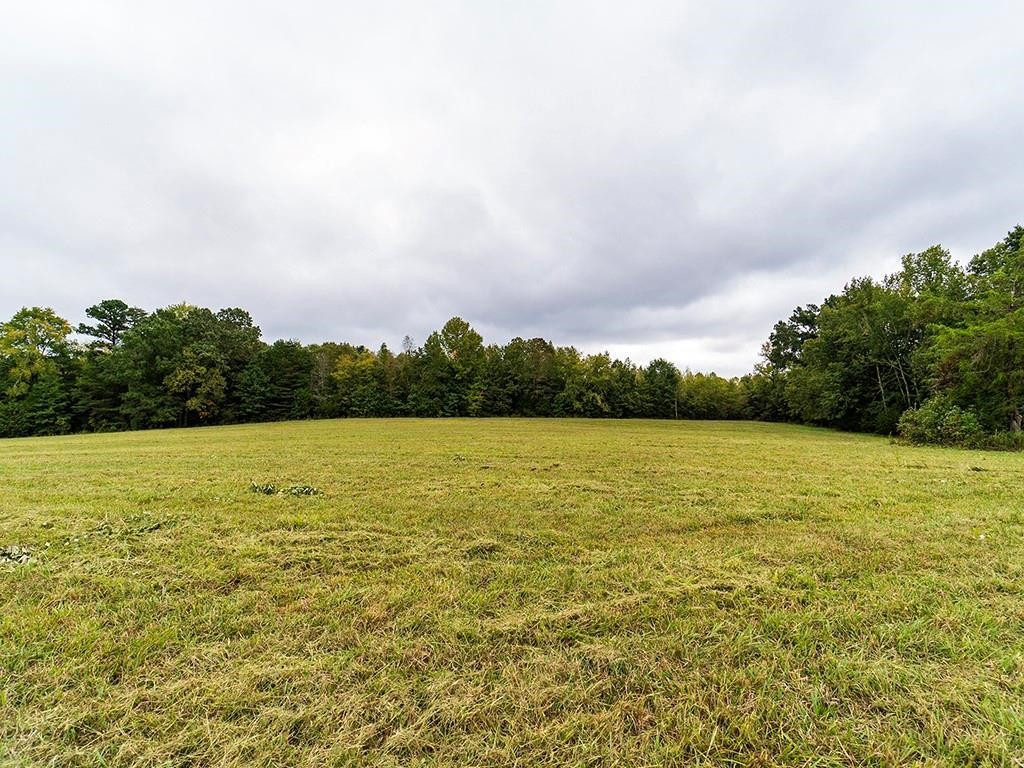1630 Gerringer Mill Road Property Photo 11