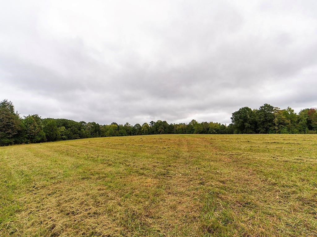 1630 Gerringer Mill Road Property Photo 15