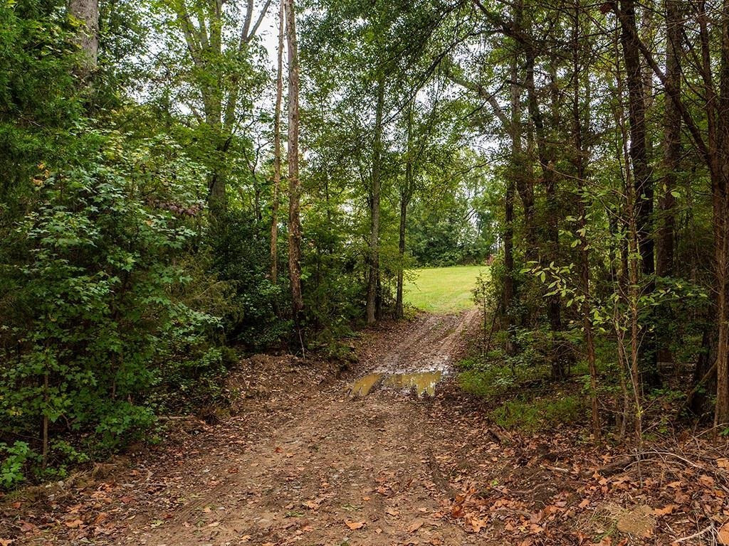 1630 Gerringer Mill Road Property Photo 20