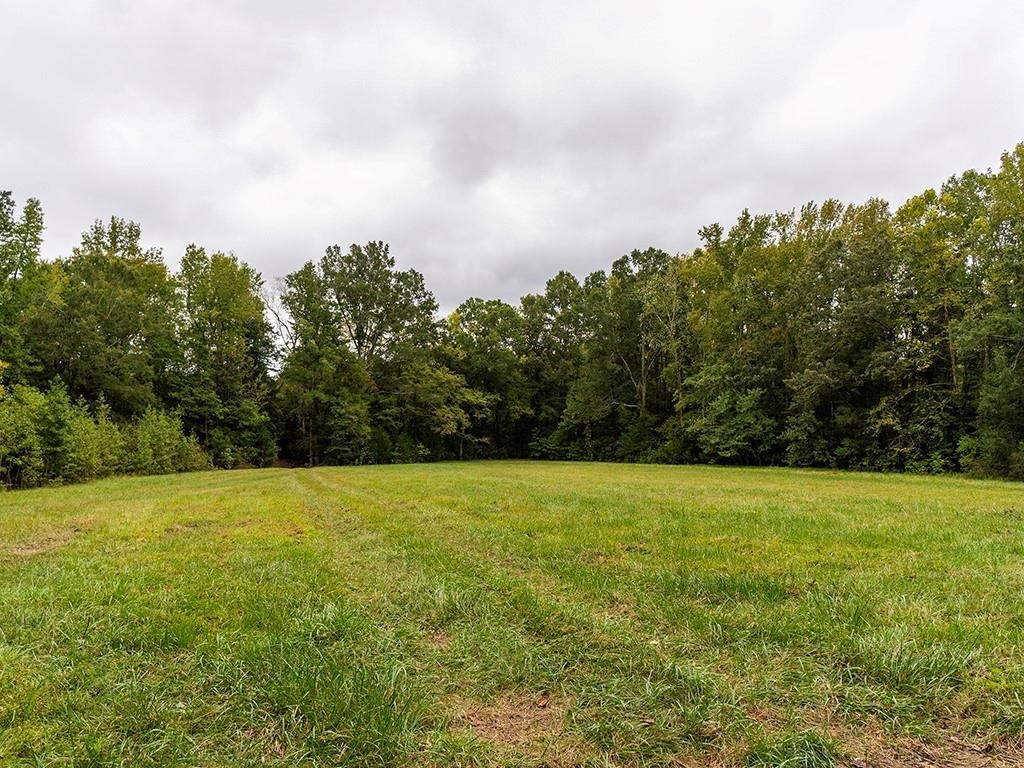 1630 Gerringer Mill Road Property Photo 22