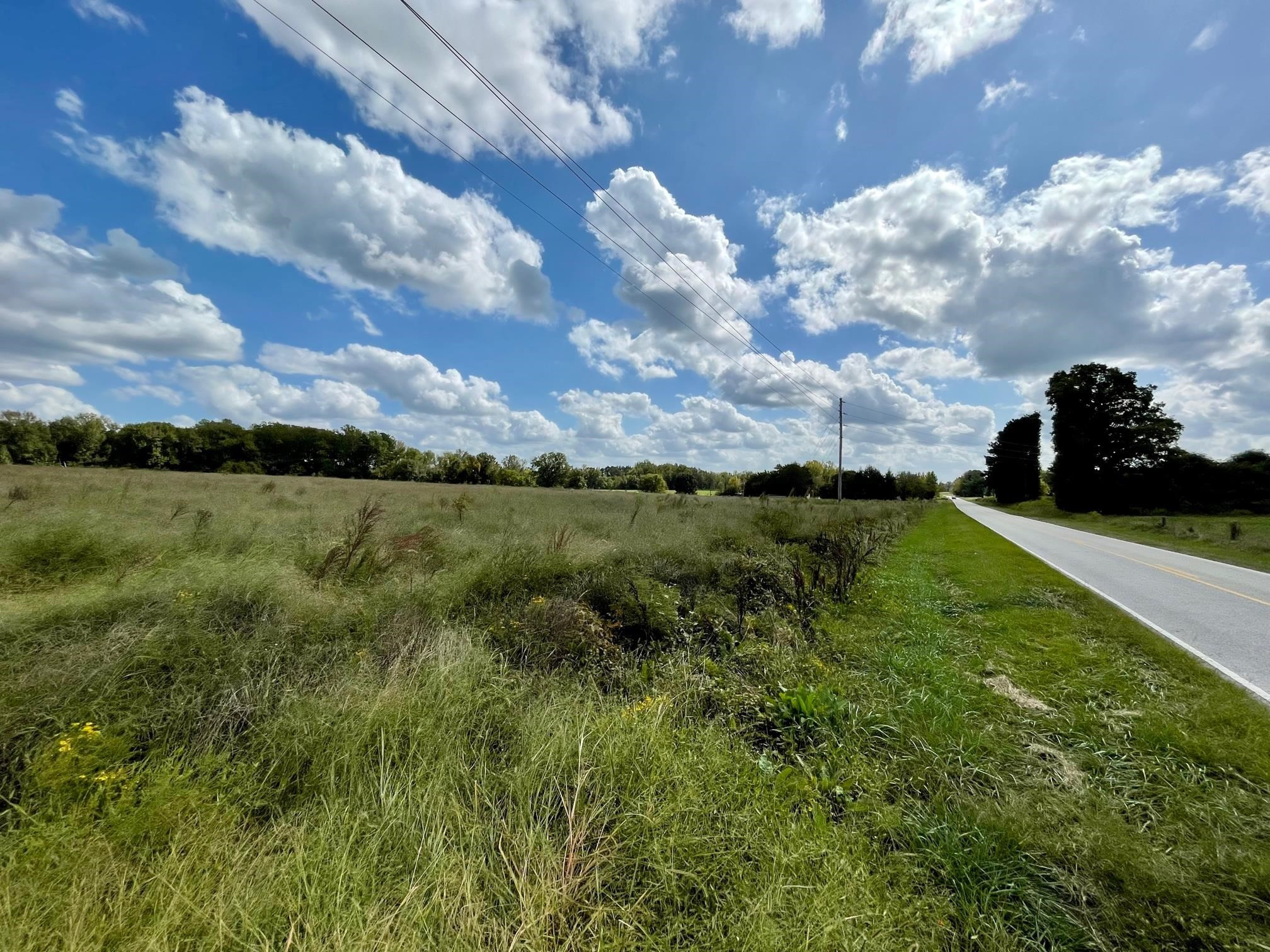 0095 Walter Grissom Road Property Photo 1