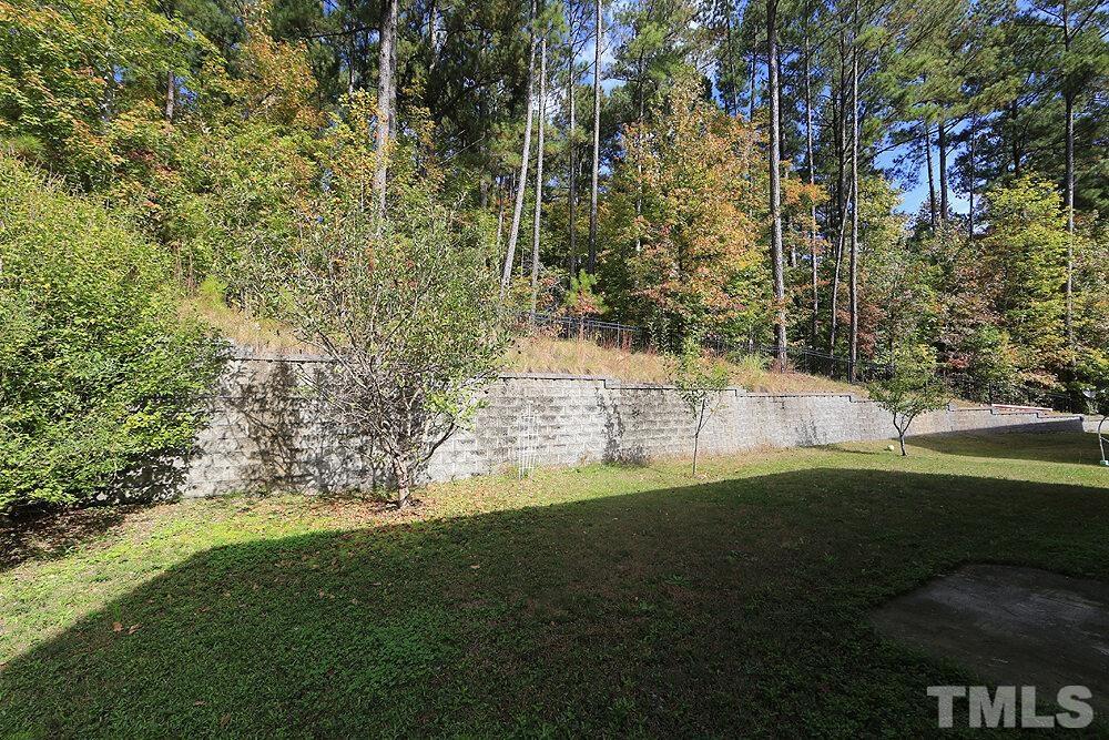 916 Spring Meadow Drive Property Photo 17