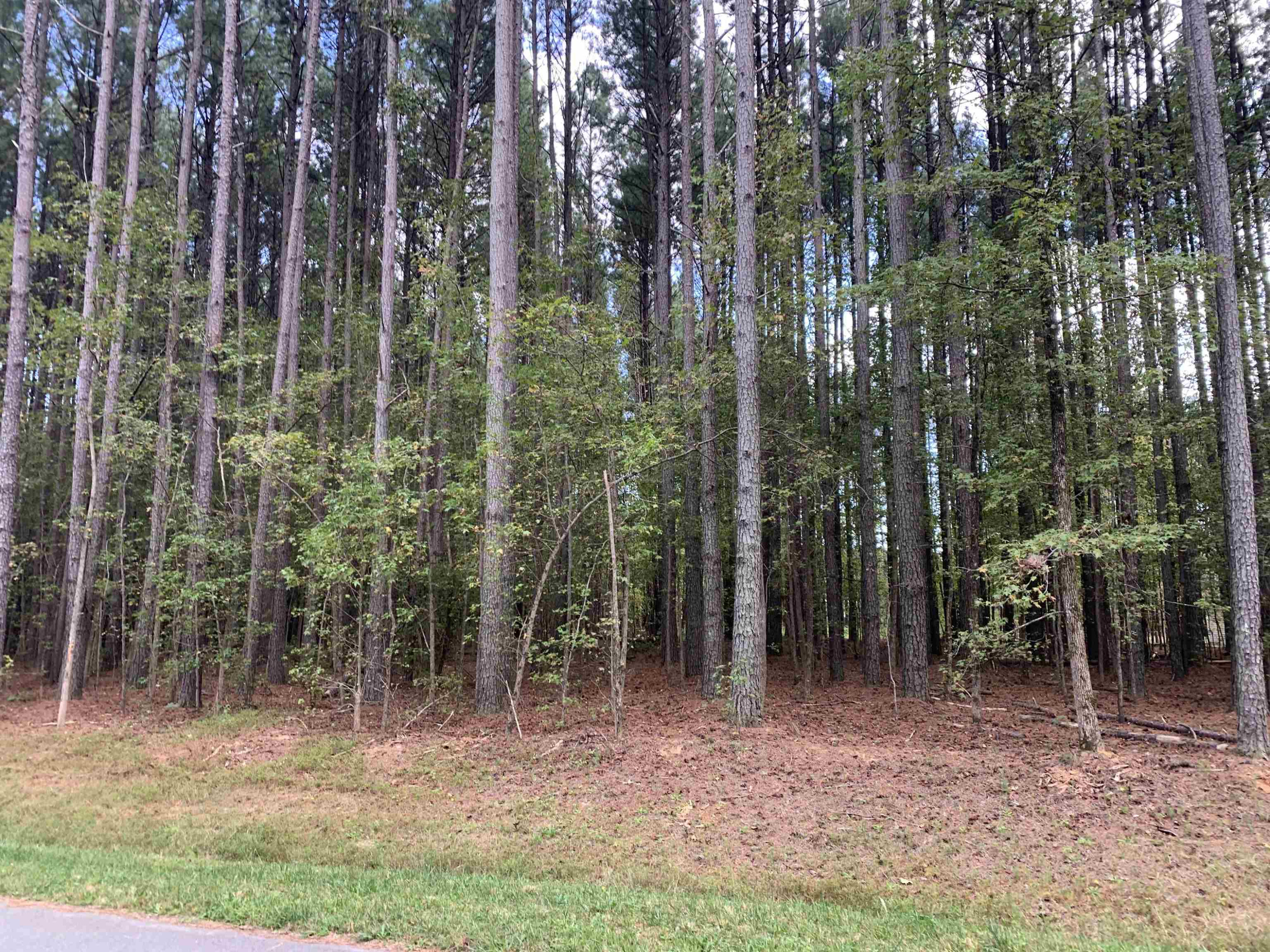 4117 Emily Lane Property Photo 1