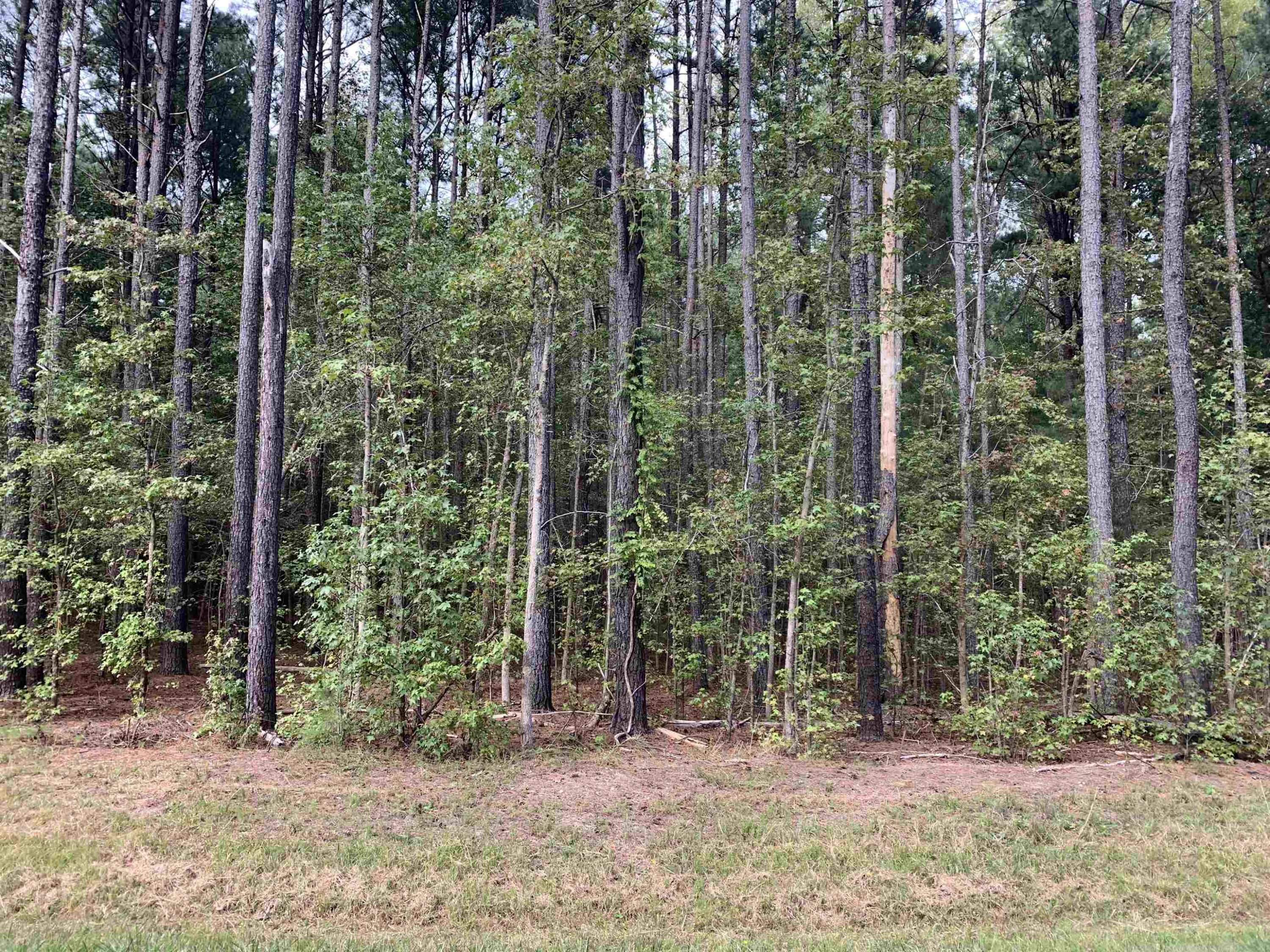 4118 Emily Lane Property Photo 1