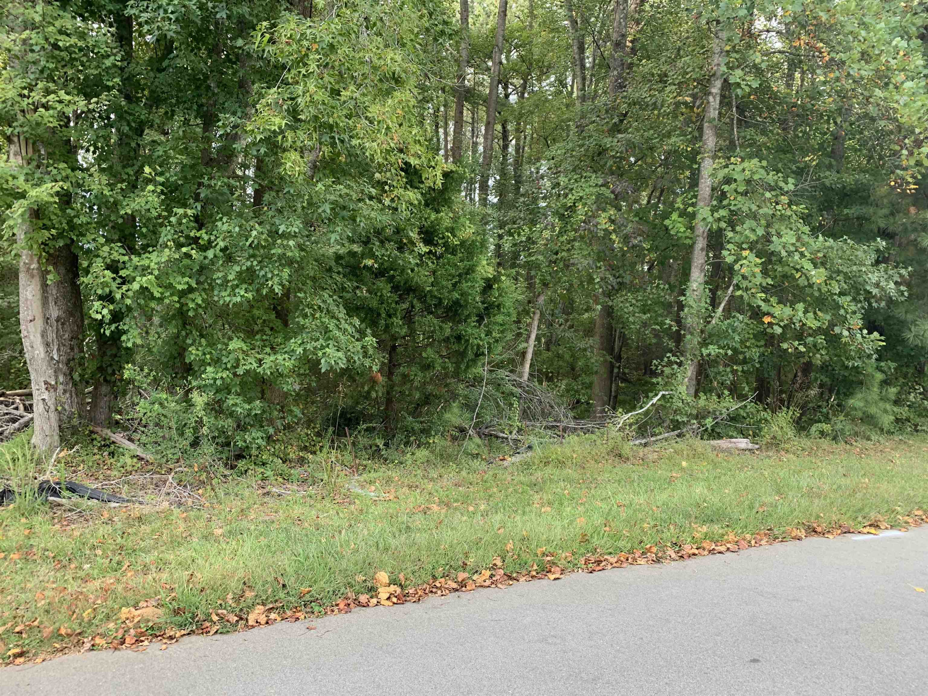 4553 Ashley View Lane Property Photo 1
